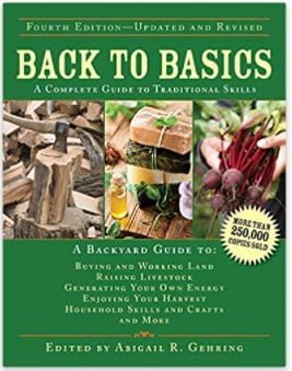 Screenshot 2021-06-17 143524 back to basics book