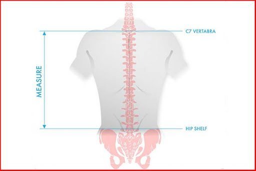 backpack torso length