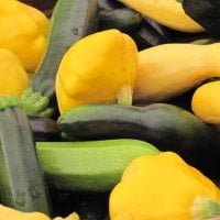 various types of summer squashes