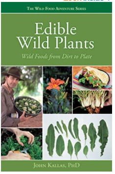 Edible Wild plants book
